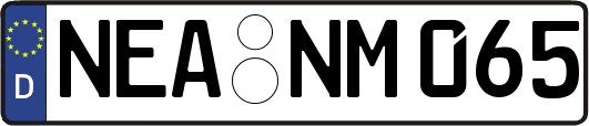 NEA-NM065