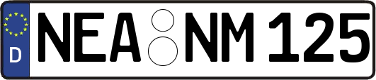 NEA-NM125