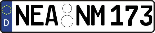 NEA-NM173