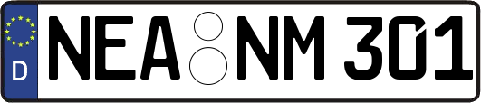 NEA-NM301