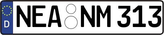 NEA-NM313