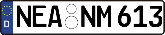 NEA-NM613