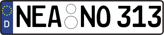 NEA-NO313
