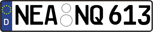 NEA-NQ613