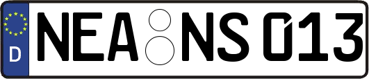 NEA-NS013