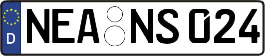 NEA-NS024