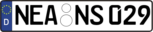 NEA-NS029