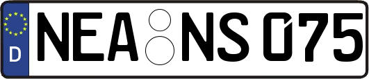 NEA-NS075
