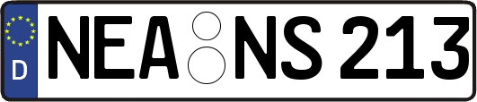 NEA-NS213