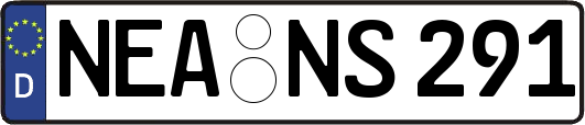 NEA-NS291