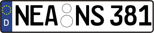 NEA-NS381
