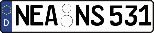 NEA-NS531