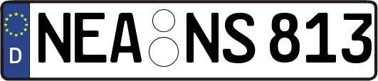 NEA-NS813