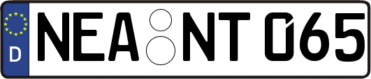 NEA-NT065
