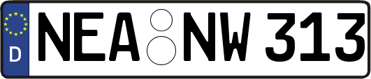 NEA-NW313