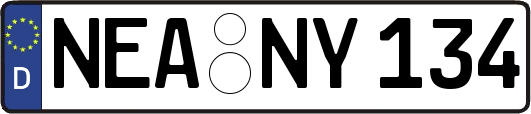 NEA-NY134