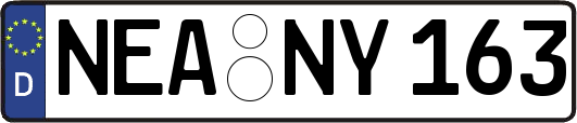 NEA-NY163