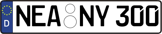 NEA-NY300