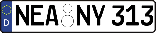 NEA-NY313