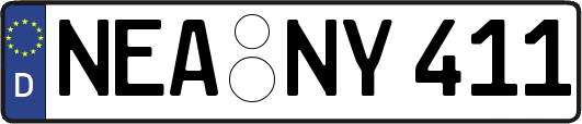 NEA-NY411