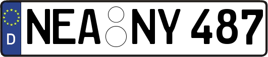 NEA-NY487