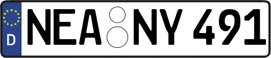 NEA-NY491