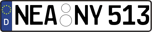 NEA-NY513