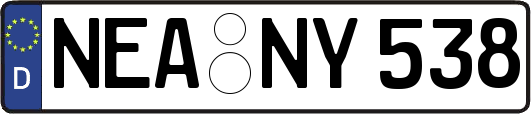 NEA-NY538