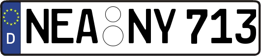 NEA-NY713