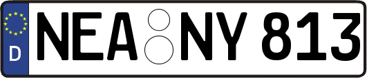 NEA-NY813