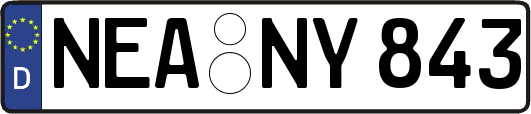 NEA-NY843