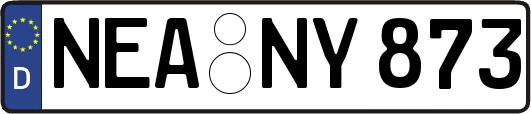 NEA-NY873