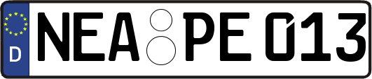 NEA-PE013