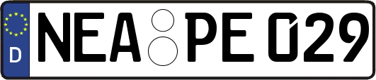 NEA-PE029
