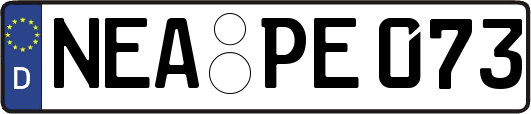 NEA-PE073
