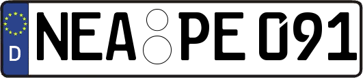 NEA-PE091