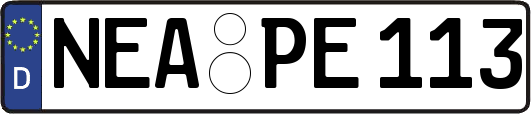 NEA-PE113