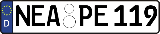 NEA-PE119