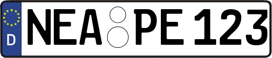 NEA-PE123