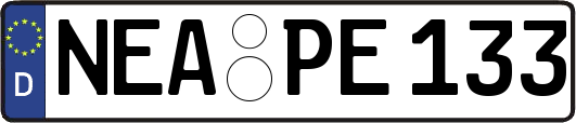 NEA-PE133