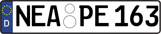 NEA-PE163