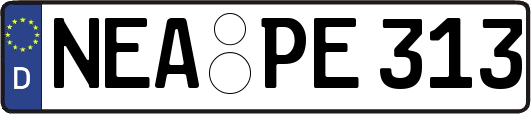 NEA-PE313