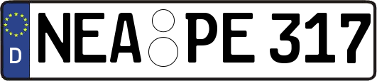 NEA-PE317