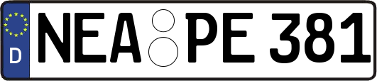 NEA-PE381