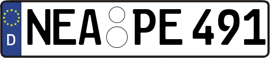 NEA-PE491
