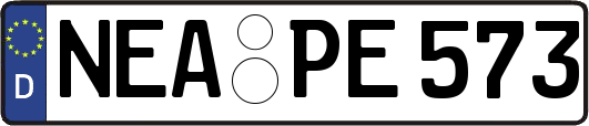 NEA-PE573
