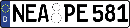 NEA-PE581