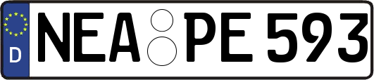 NEA-PE593