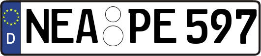 NEA-PE597