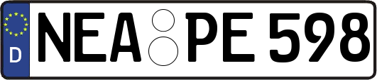 NEA-PE598